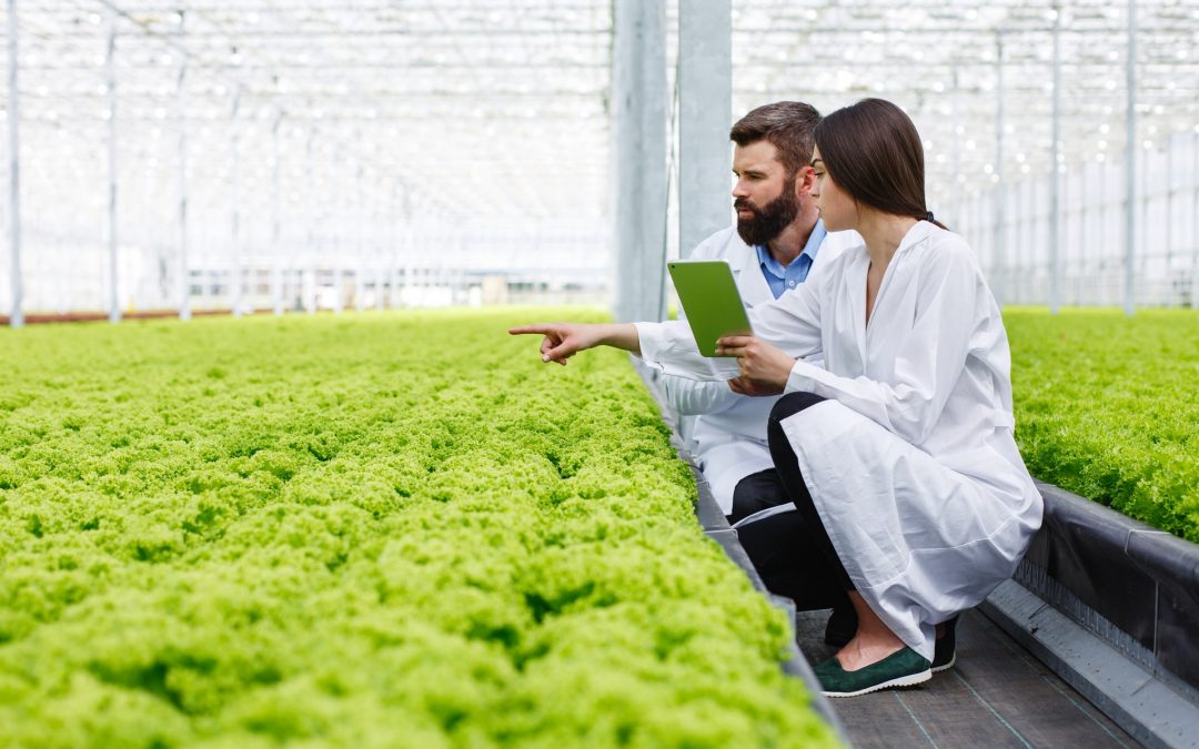 Ingeniería Agrónoma y Agroindustrial